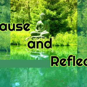 Pause and Reflect